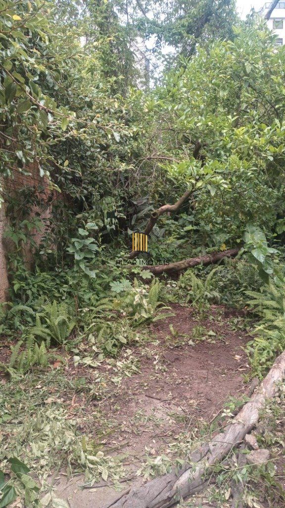 Sobrado no bairro Petrópolis com 4 dormitórios e amplo pátio