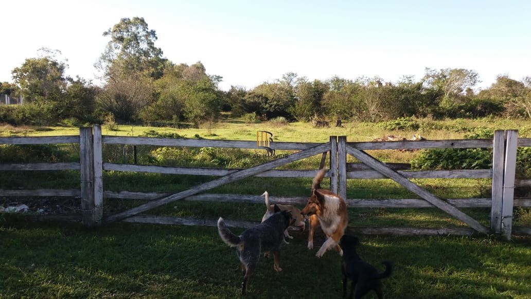 Sítio 1 dormitório no bairro Pedreira