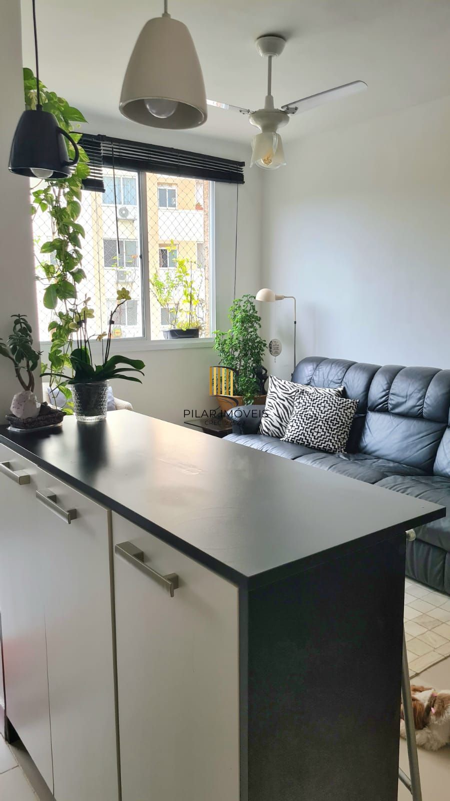 Apartamento 2 Dormitórios Jardim Carvalho