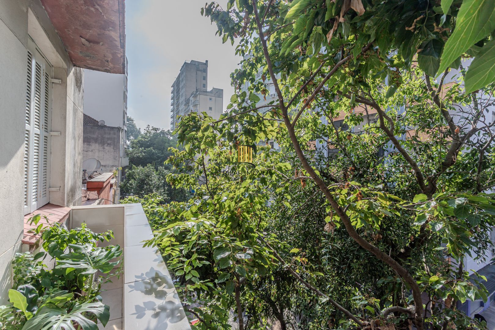 Apartamento no Centro de 3 dormitórios