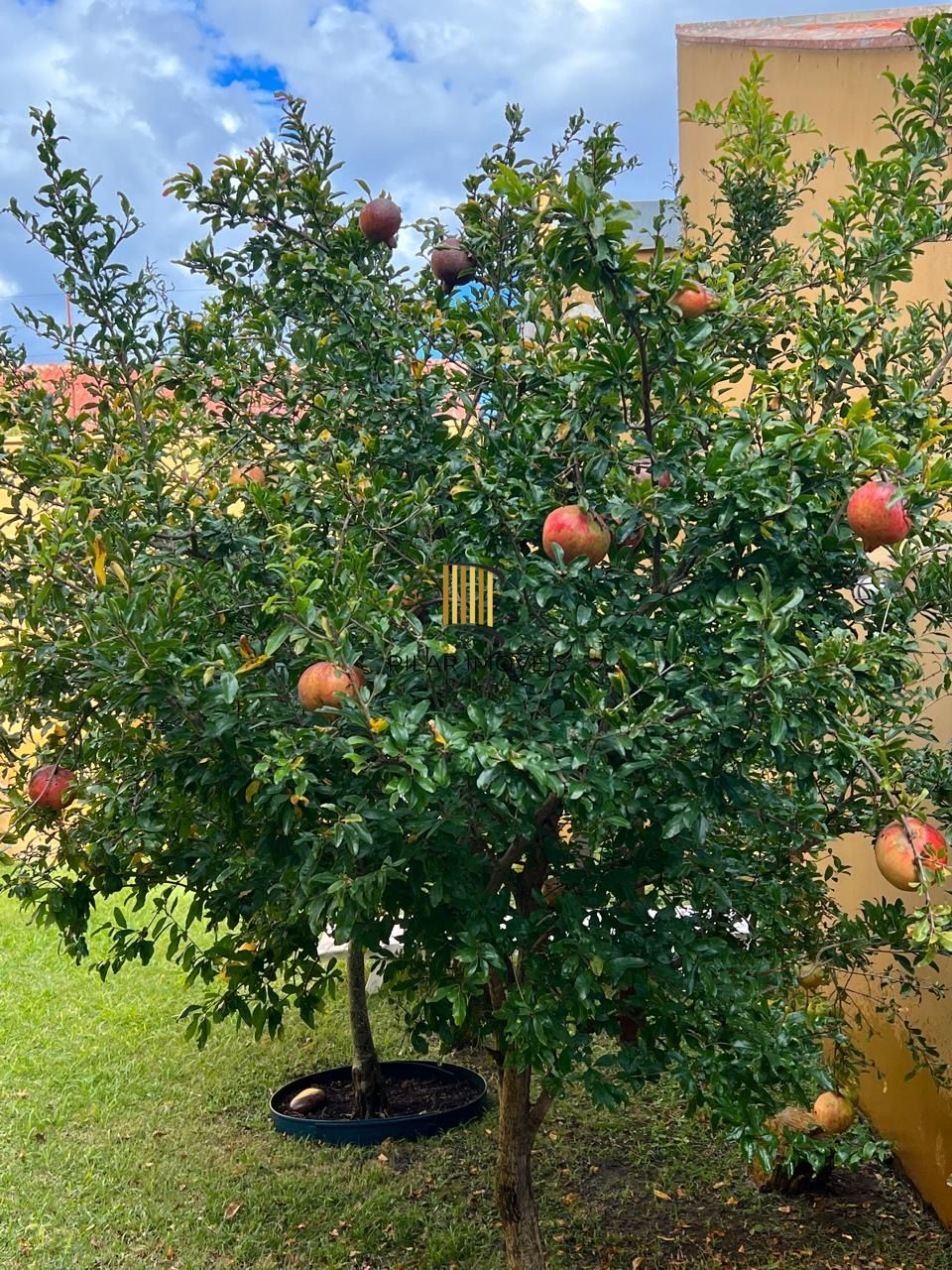 Casa a venda no bairro Chácara das Pedras