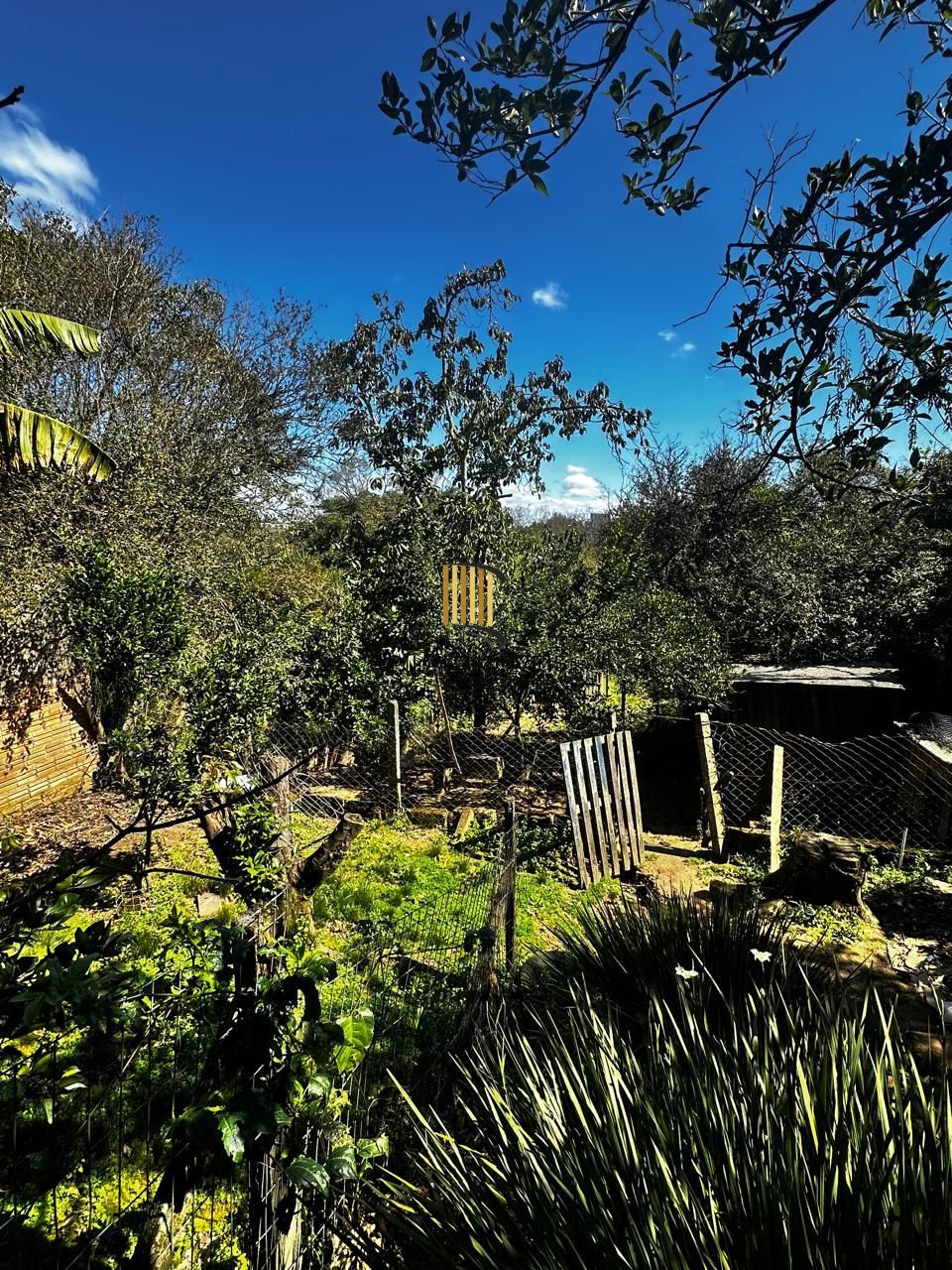 Casa 2 dormitórios no bairro Sítio Gaúcho