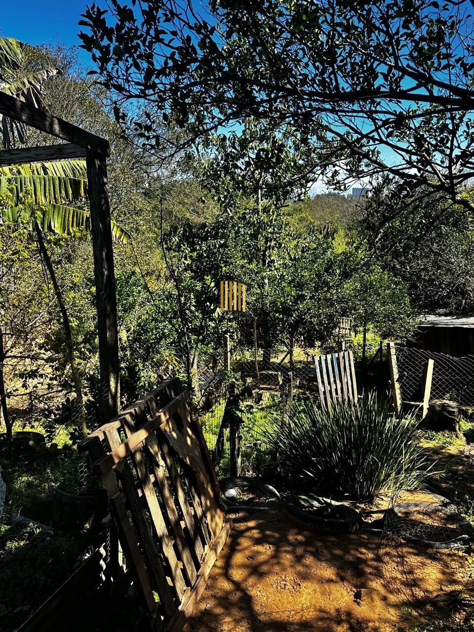 Casa 2 dormitórios no bairro Sítio Gaúcho