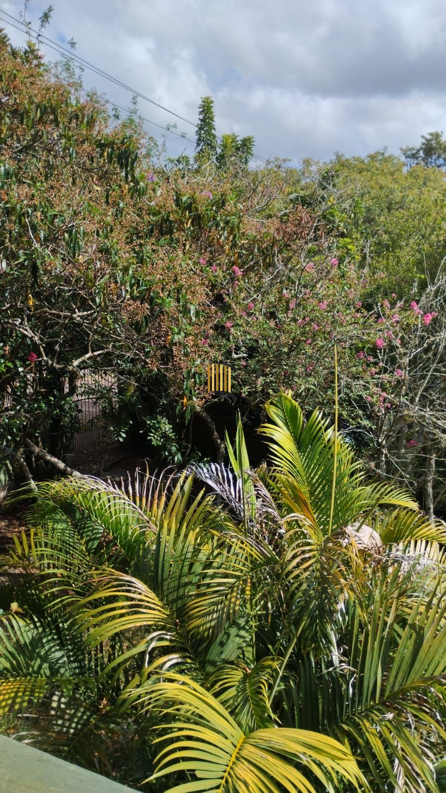 Casa com 6 quartos e  4 vaga de garagem Vila Conceição