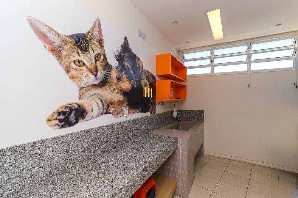 Apartamento de 3 quartos, suíte, elevador e 1 vaga no bairro Azenha