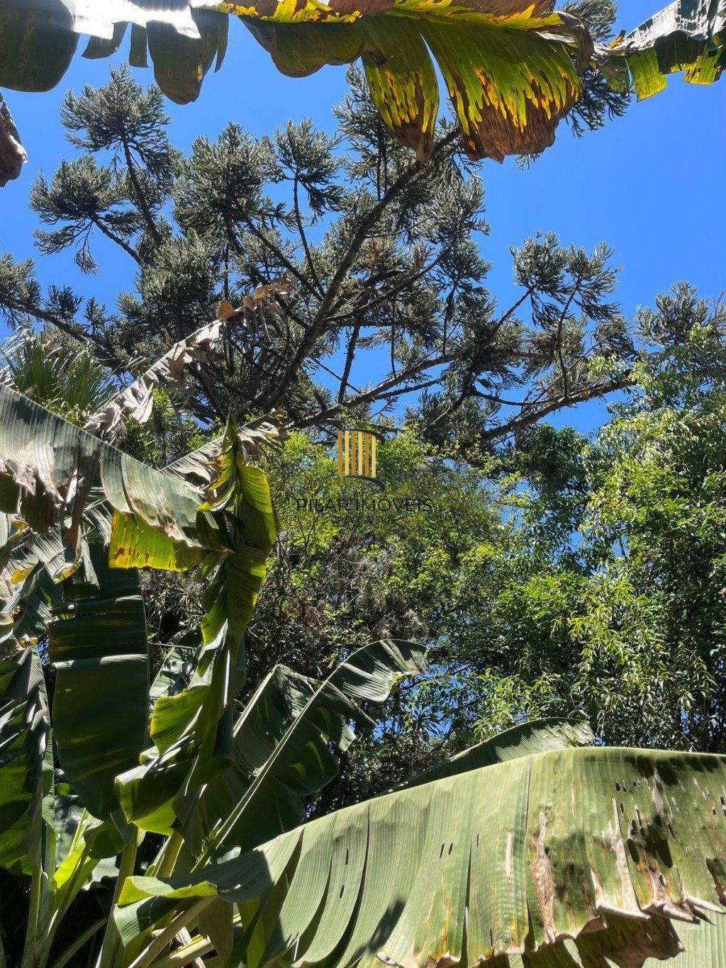 Amplo Terreno com Casa no Partenon | Ótima Localização