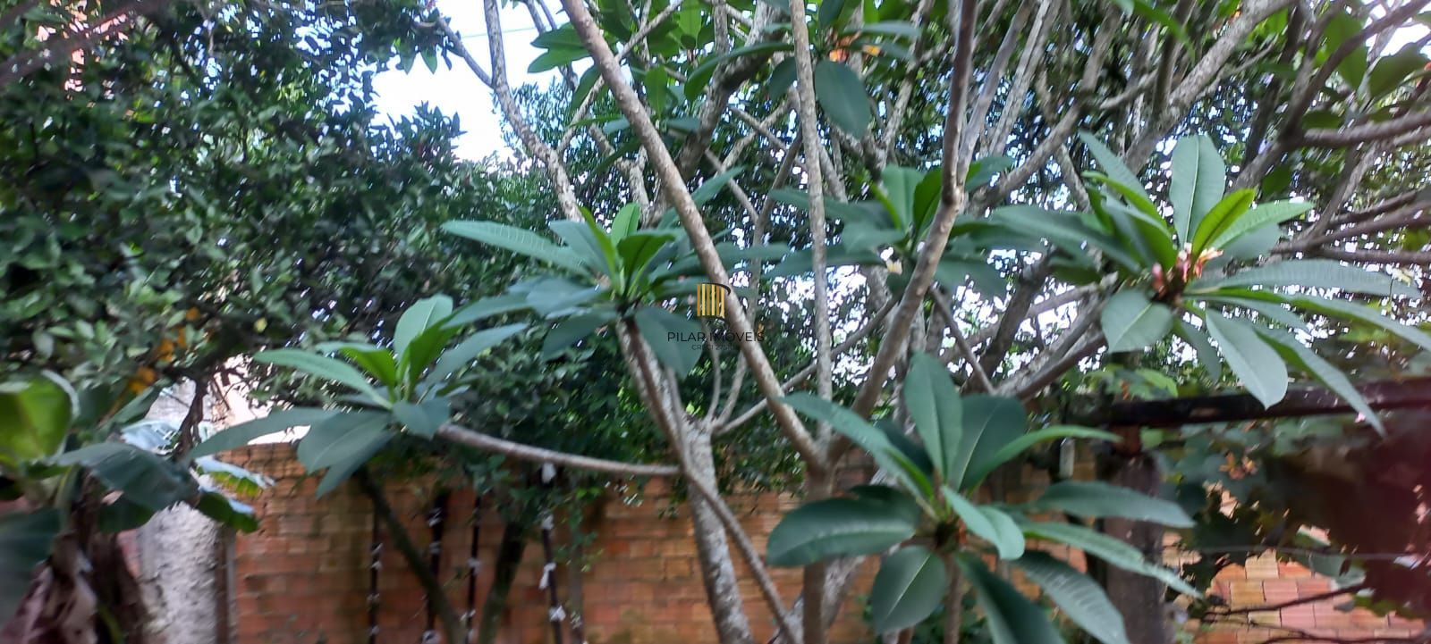 Casa com 4 dormitórios em Viamão