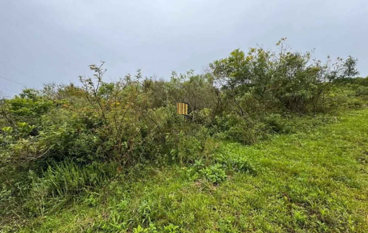 Área de 1 hectare à Venda em Santo Antônio da Patrulha, RS – Ótimo Preço!