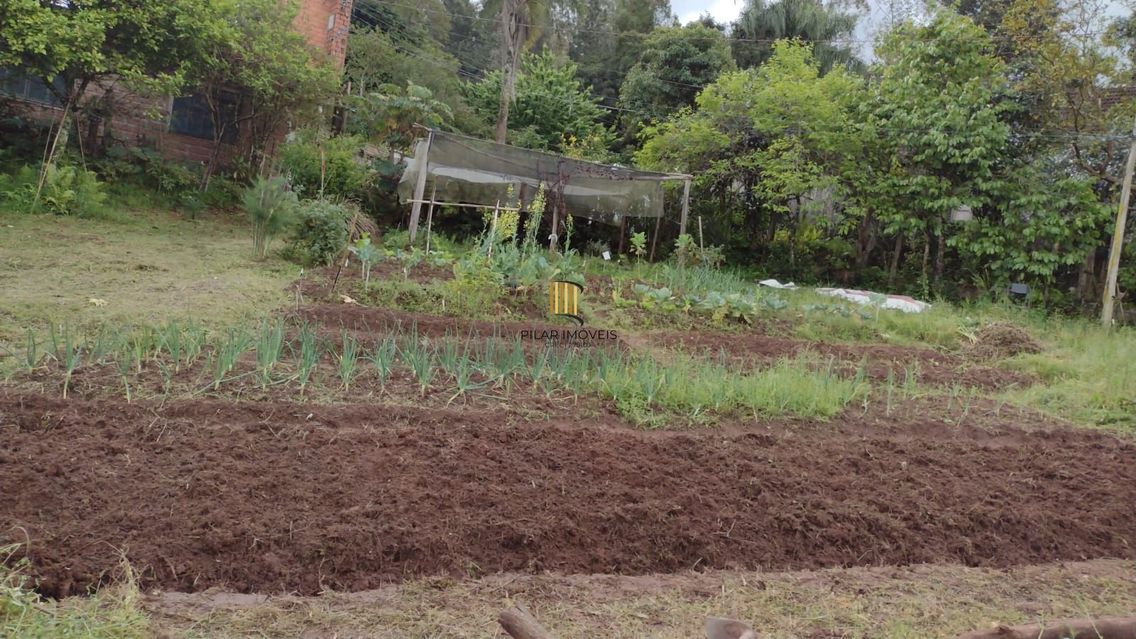 Sítio em São Tomé,  Gravataí.
