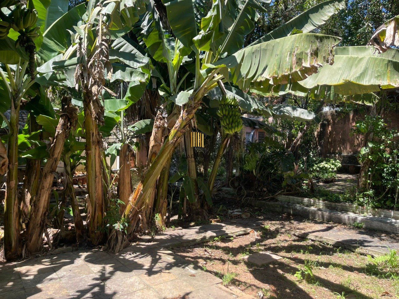 Amplo Terreno com Casa no Partenon | Ótima Localização