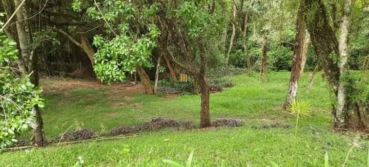 Apartamento Térreo 2 quartos 1 vaga  na Rua Dolores Duran, Lomba do Pinheiro