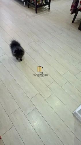 Apartamento com 3 quartos e 2 vagas de garagem