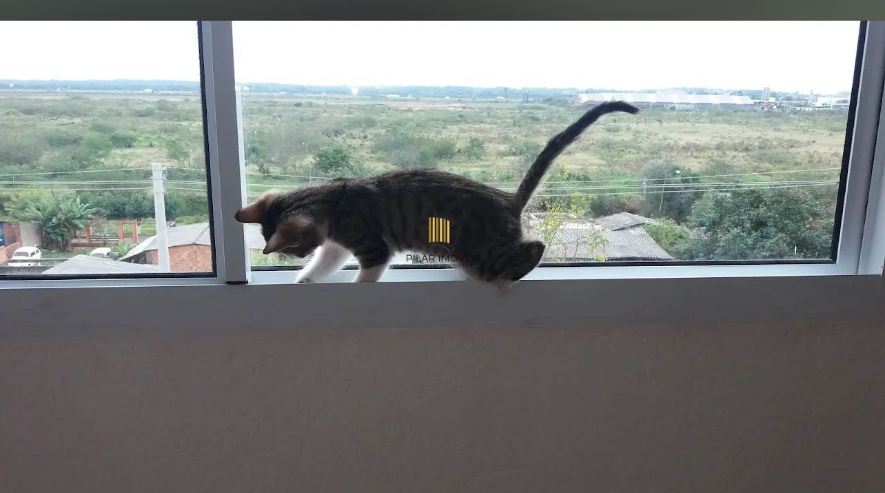 Apartamento Semi Mobiliado de 2 quartos Condomínio Pampas 2