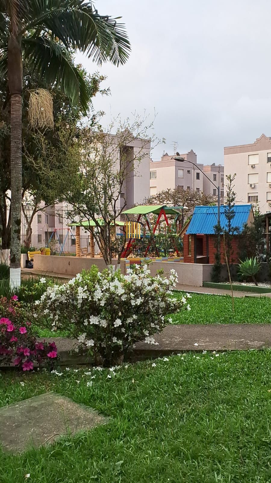 Apartamento 1 dorm Morro Santana em frente ao Gecepel Avenida Protásio