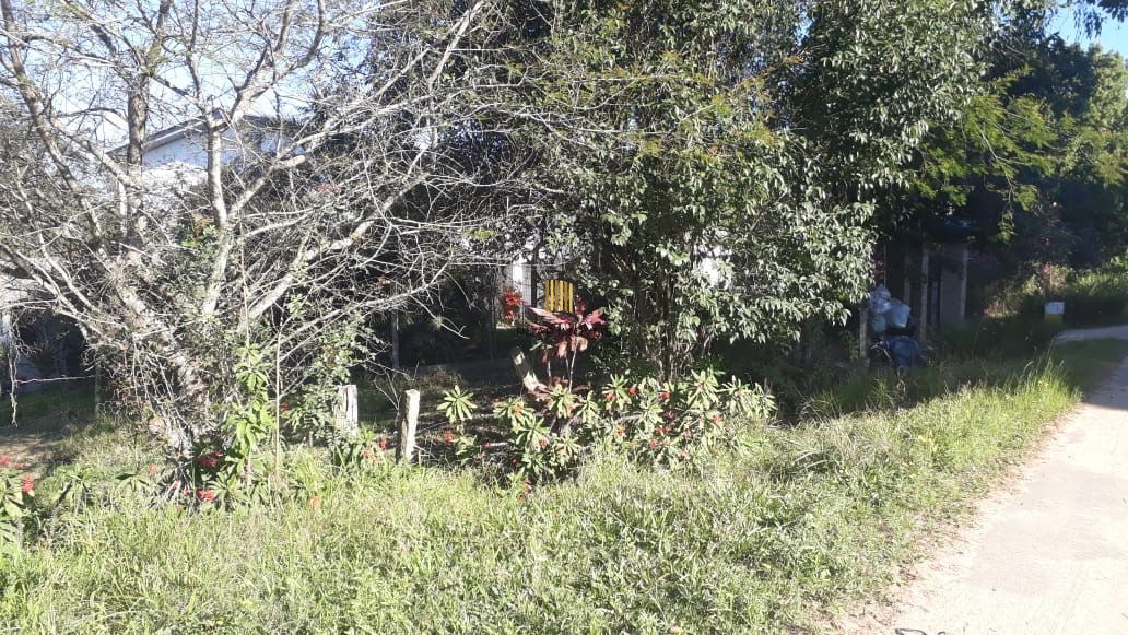 Sítio com piscina em Área próximo ao Vila Ventura mais de 8mil m2 em Viamão/RS