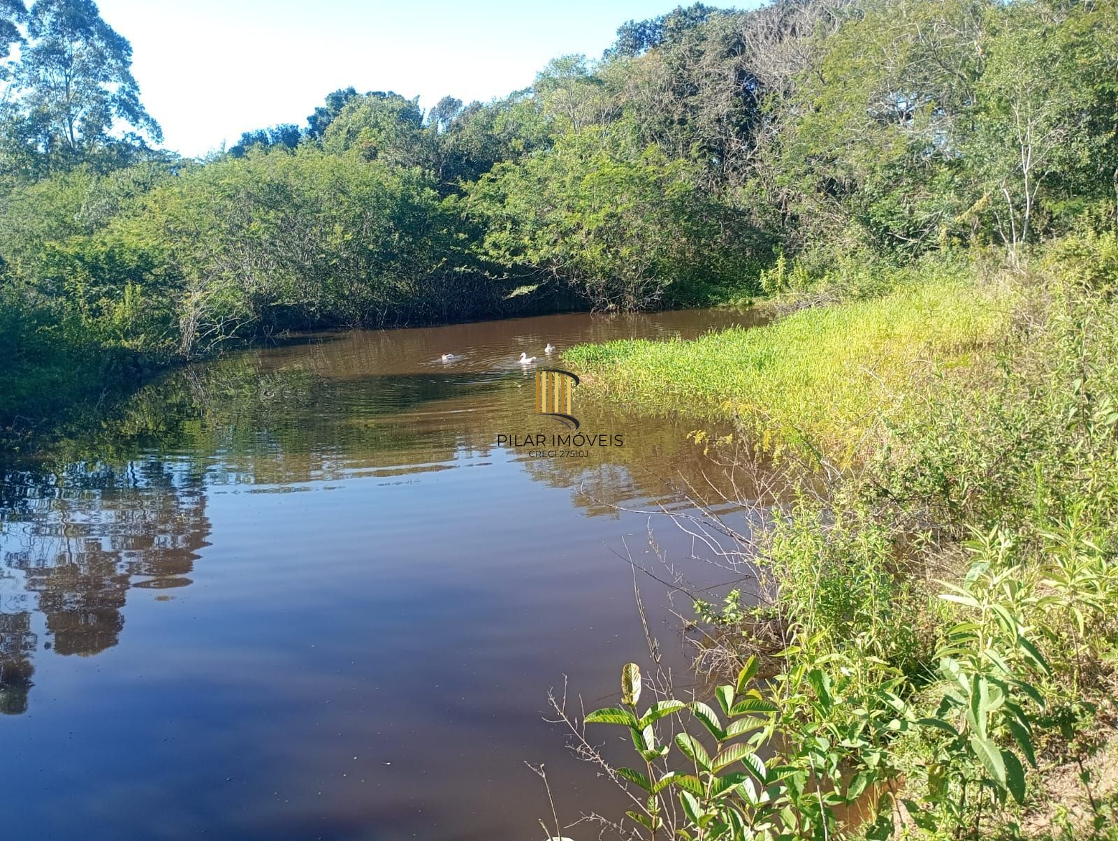Sítio com Casa com piscina 2 Açudes em Glorinha RS