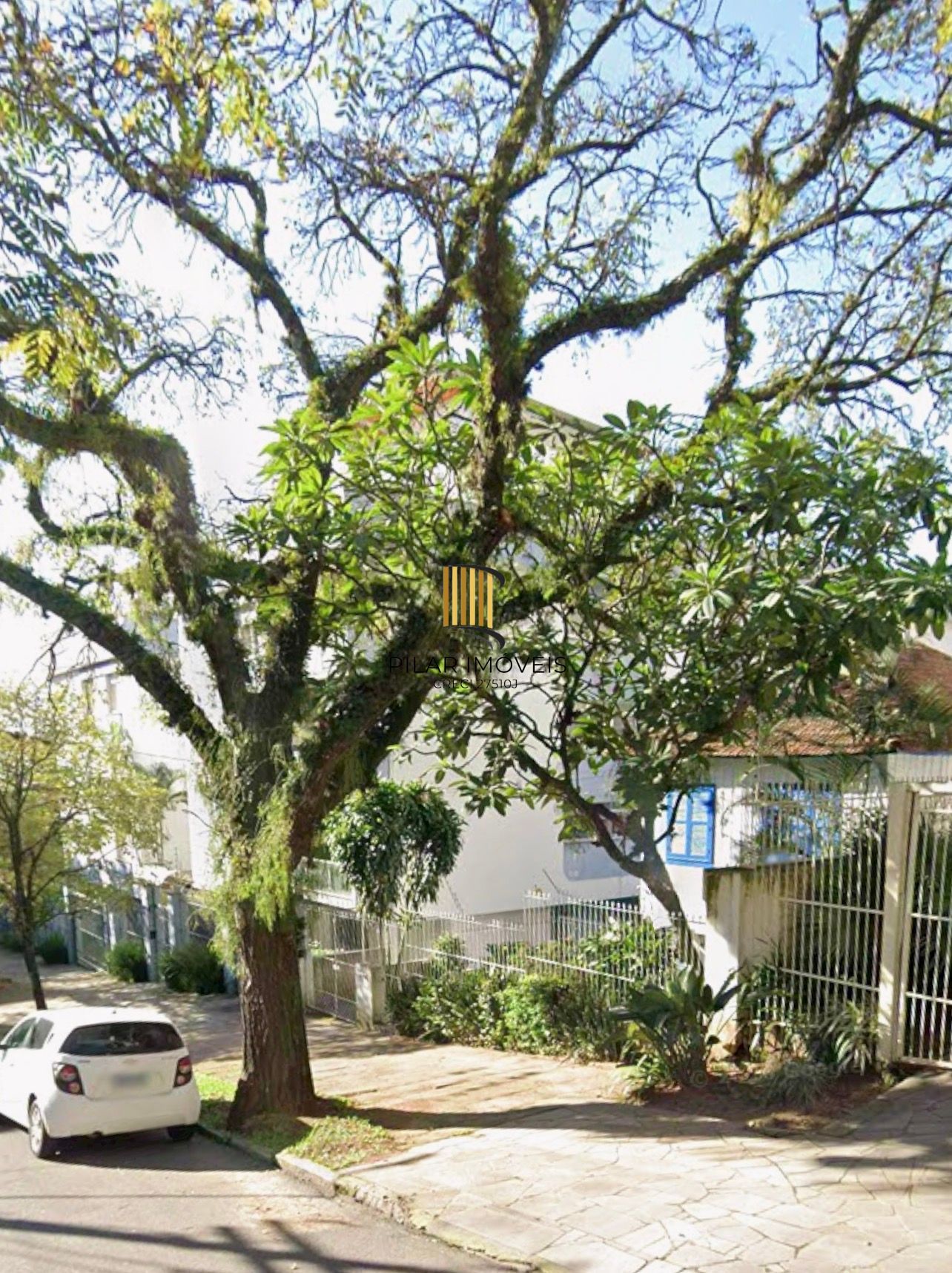 Terreno de 11x 60 no Bairro Higienópolis Entre Rua Portugal e Luzitana