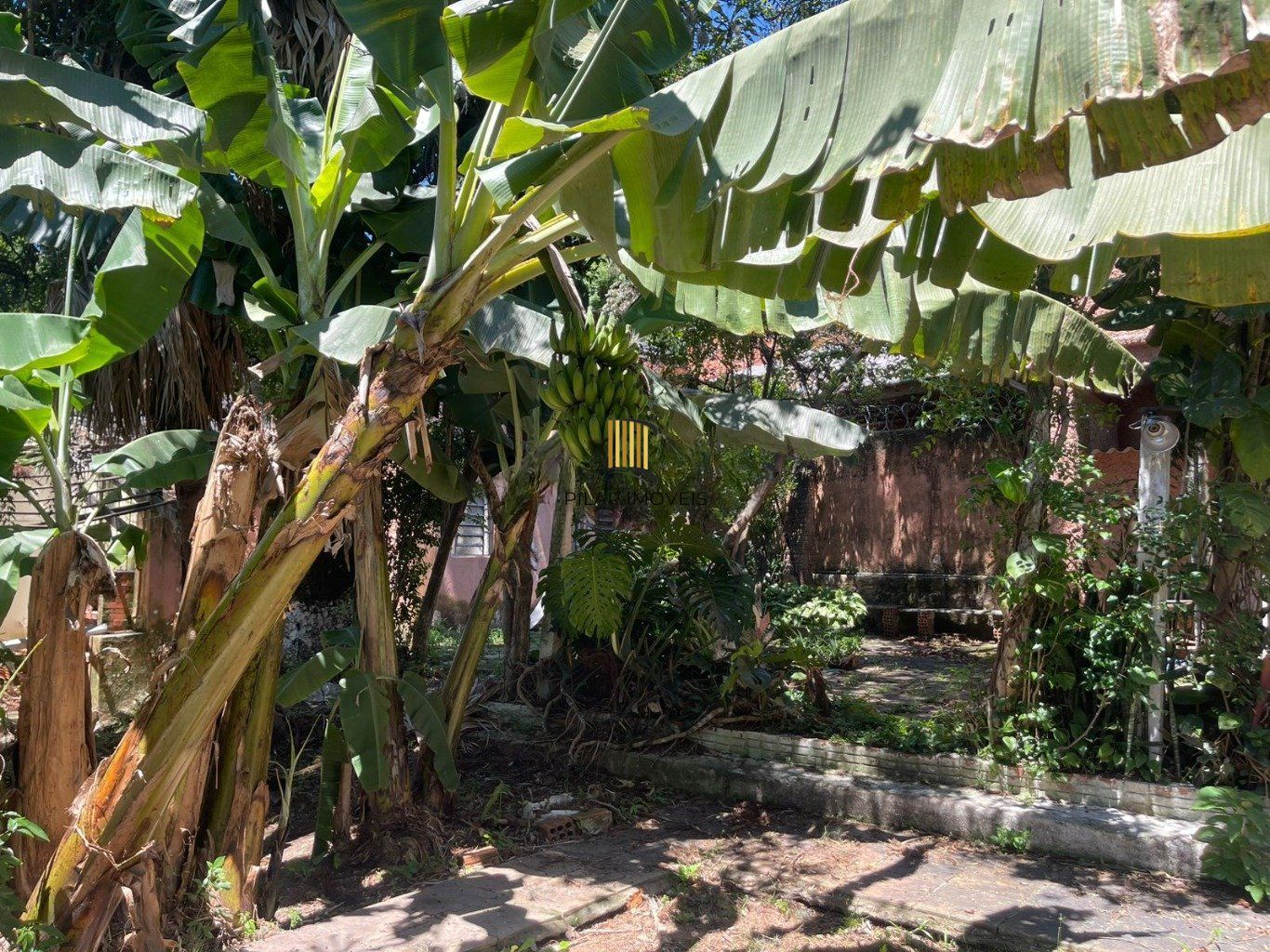 Amplo Terreno com Casa no Partenon | Ótima Localização