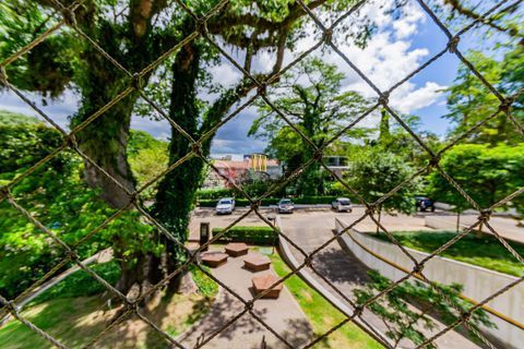Apartamento 3 quartos e 1 vaga de garagem à venda no bairro Teresópolis.