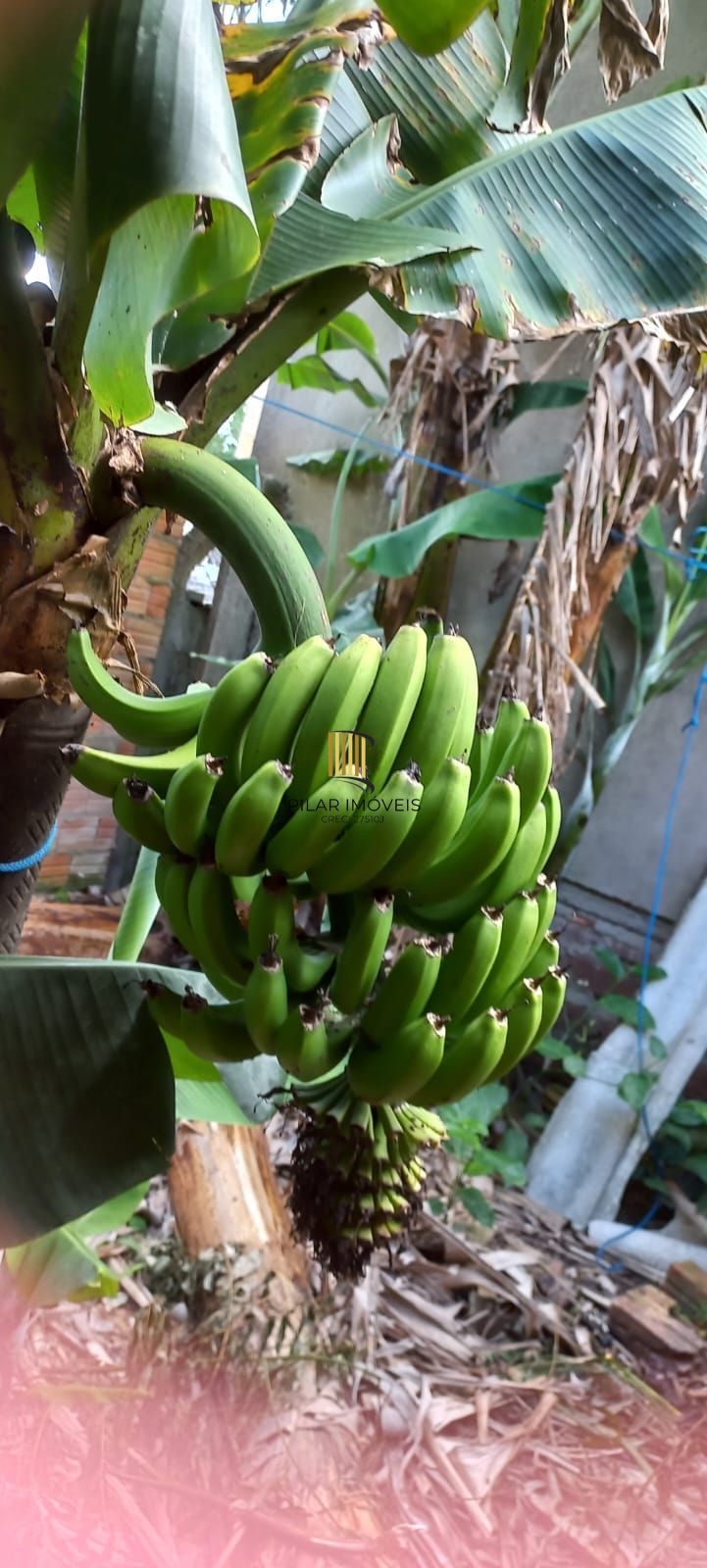Casa com 4 dormitórios em Viamão