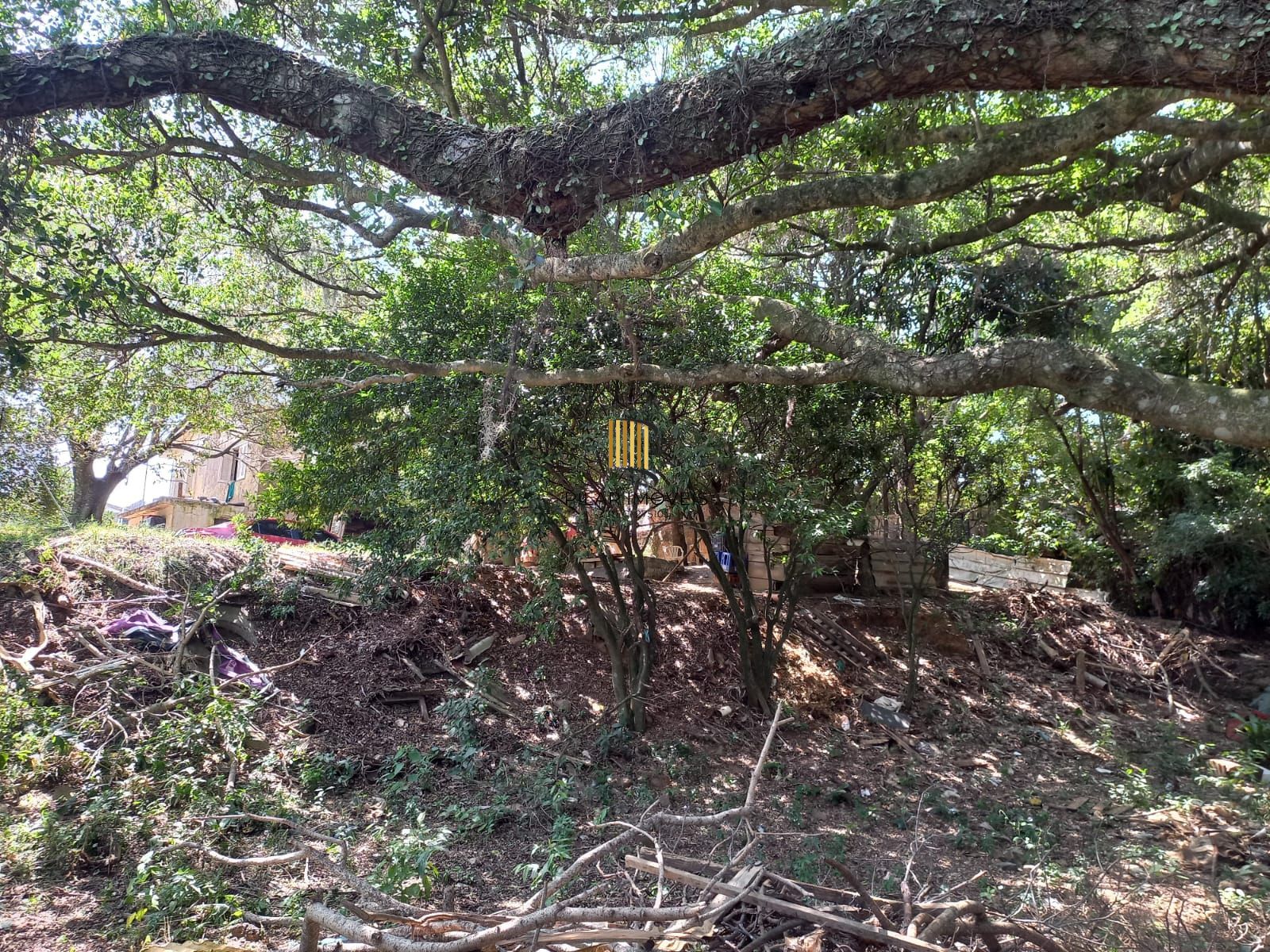 Chácara com 2 hectares no Bairro Mário Quintana
