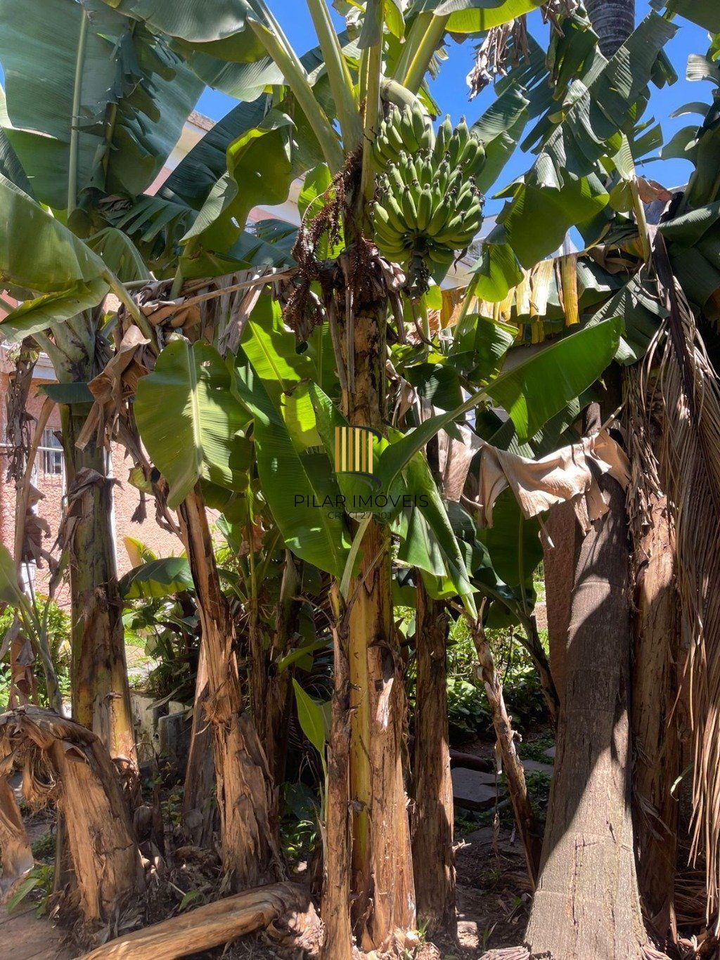 Amplo Terreno com Casa no Partenon | Ótima Localização