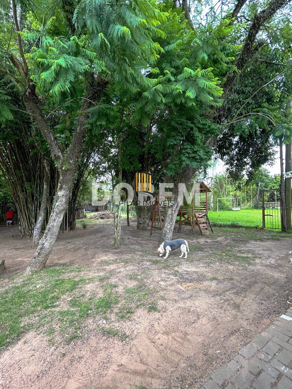 🏡 Sítio Urbano Exclusivo no Piratini – 3.000m² de Terreno em Alvorada