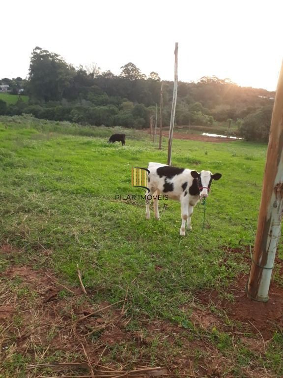 EXCELENTE ÁREA  à venda, 30800 m² por R$ 450.000,00 - São João - Cruz Alta/RS