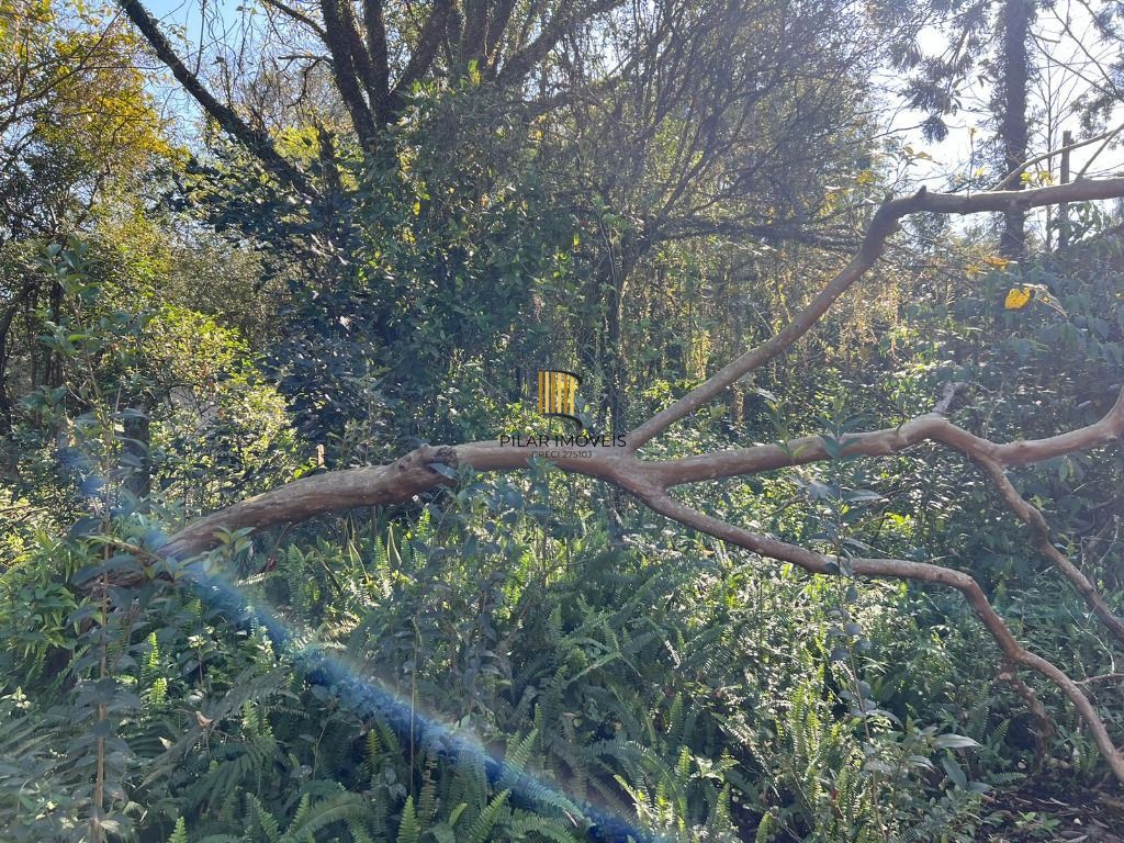 Chácara à venda, 4200 m² por R$ 300.000,00 - Neópolis - Gravataí/RS