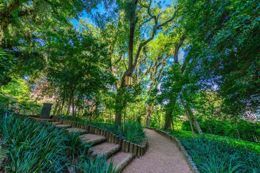 PORTO NOBRE vende excelente apartamento semi mobiliado, com 3 quartos, no bairro Rio Branco.