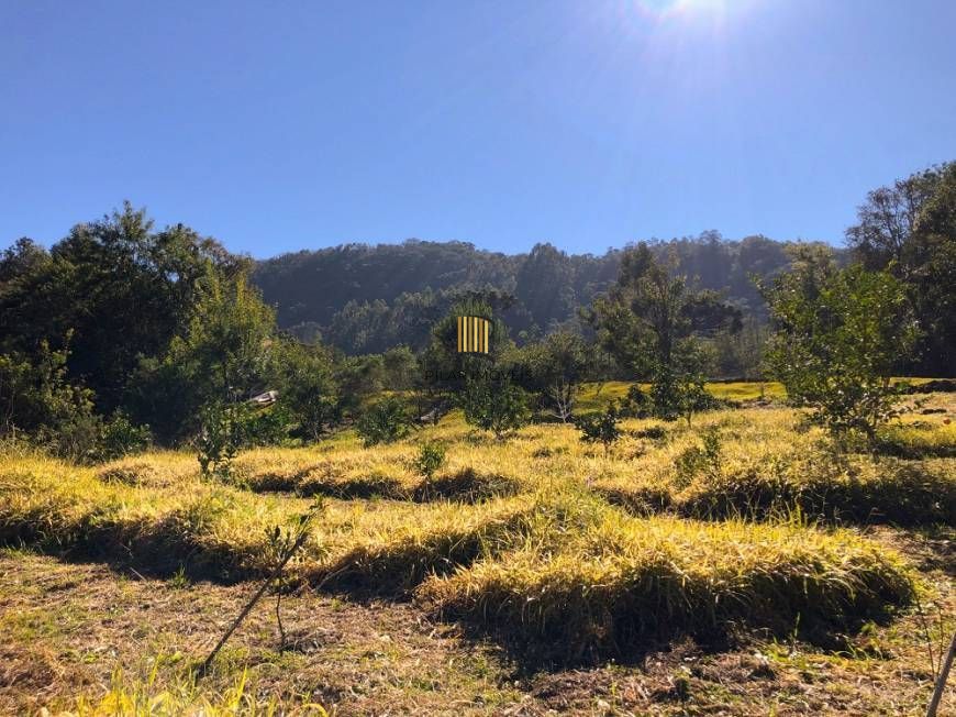 Sítio à venda, 110000 m² por R$ 2.250.000,00 - Vila Germania - Nova Petrópolis/RS