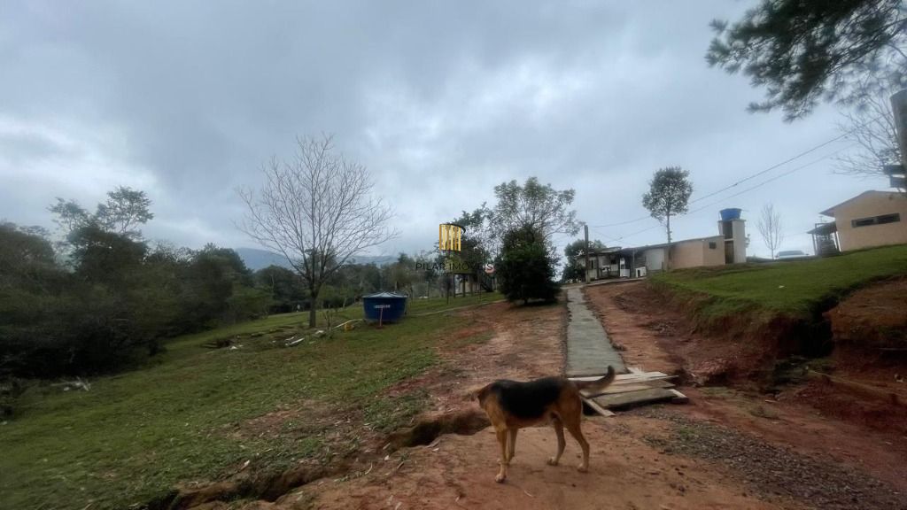 Sítio à venda, 100000 m² por R$ 390.000,00 - Morro da Cruz - Taquara/RS