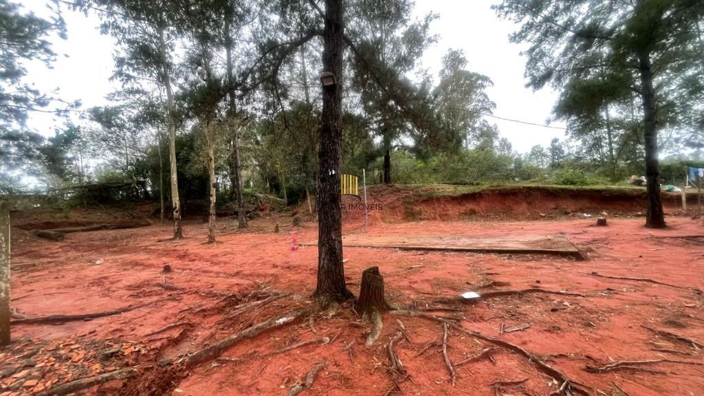 Sítio à venda, 100000 m² por R$ 390.000,00 - Morro da Cruz - Taquara/RS