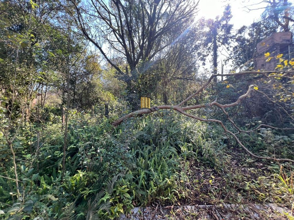 Chácara à venda, 4200 m² por R$ 300.000,00 - Neópolis - Gravataí/RS