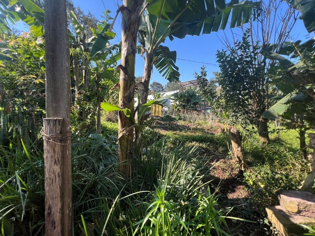 Chácara com 3 dormitórios à venda, 2000 m² por R$ 950.000,00 - Loteamento Rural Palermo - Gravataí/RS