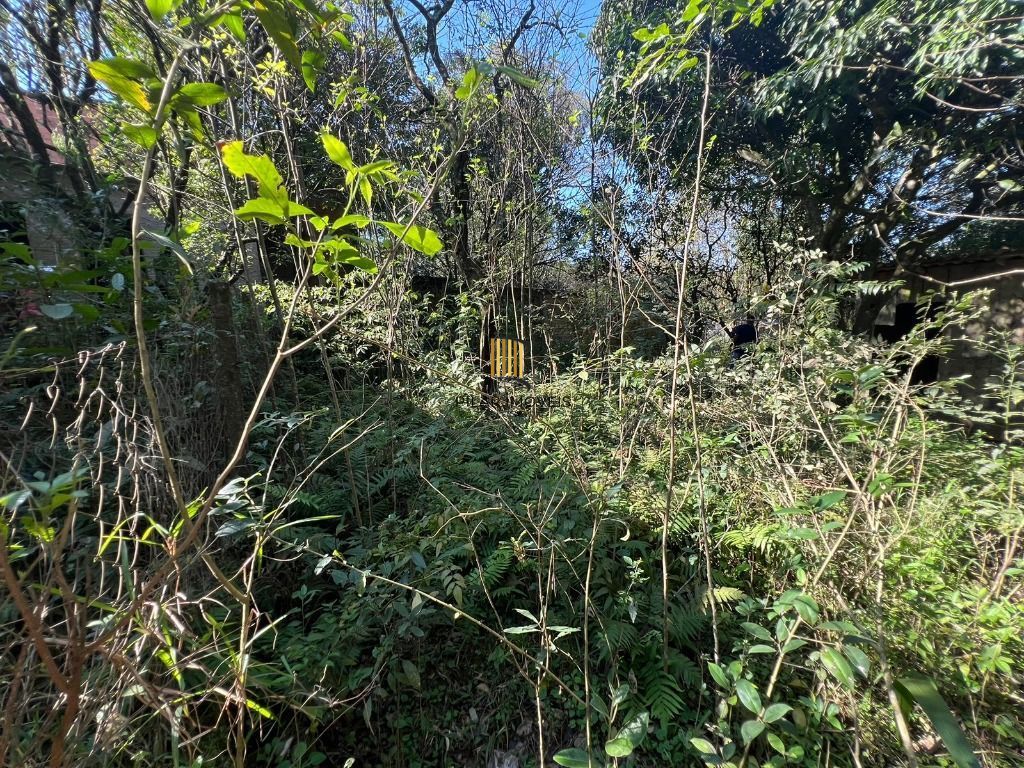 Chácara à venda, 4200 m² por R$ 300.000,00 - Neópolis - Gravataí/RS