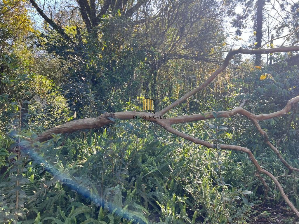 Chácara à venda, 4200 m² por R$ 300.000,00 - Neópolis - Gravataí/RS