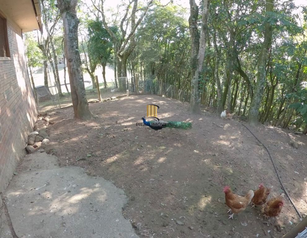 Sítio com 2 dormitórios à venda, 20000 m² por R$ 2.500.000,00 - Desvio Rizzo - Caxias do Sul/RS