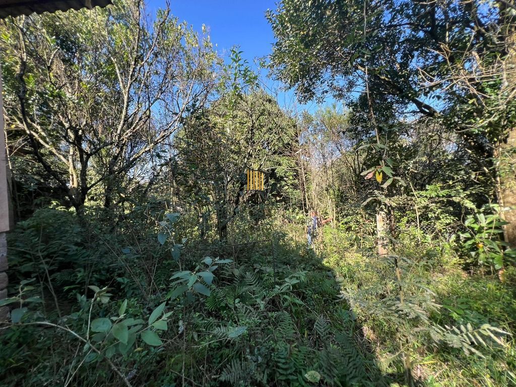 Chácara à venda, 4200 m² por R$ 300.000,00 - Neópolis - Gravataí/RS