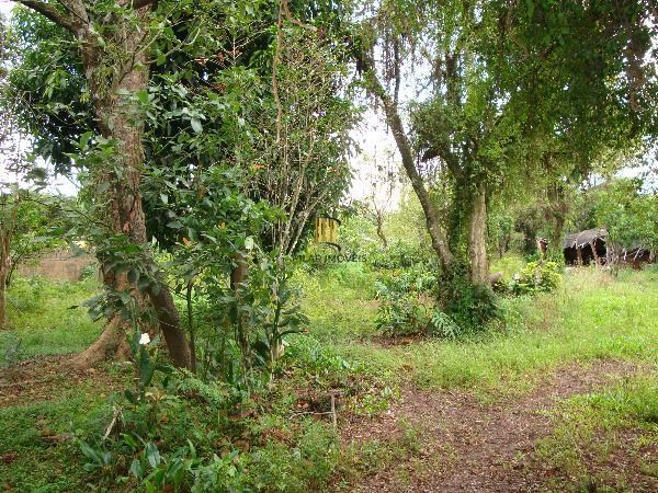 Terreno para Venda - 0m², 0 dormitórios, Belém Novo