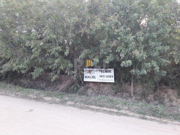 Terreno para Venda - 575.7m², 0 dormitórios, Lami - Pilar Imóveis