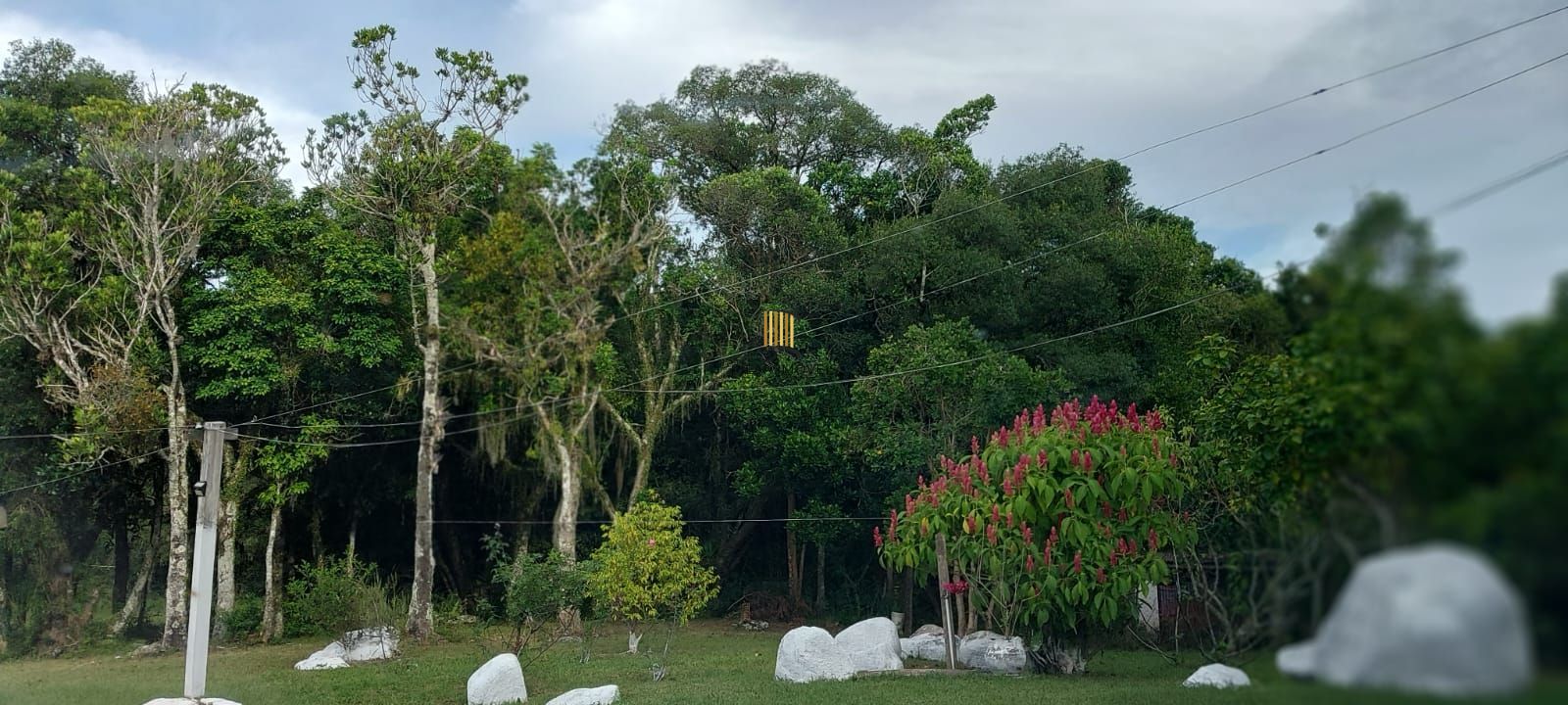 Lindo sitio em localização privilegiada.