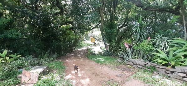 Terreno para Venda - 0m², 0 dormitórios, Belém Velho