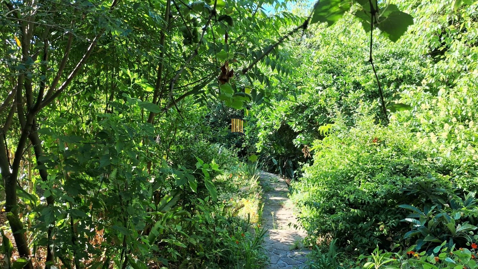 Casa 3 dormitórios no bairro Vila Conceição