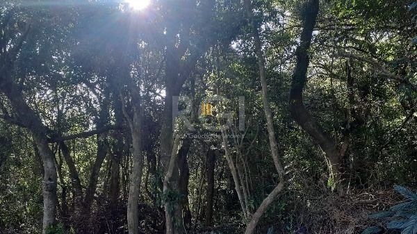 Terreno em Condominio para Venda - 293.15m², 0 dormitórios, Vila Nova