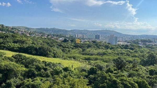 Apartamento 2 dormitórios à venda Jardim Carvalho Porto Alegre/RS