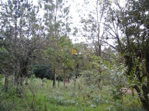 Terreno à venda Belém Velho Porto Alegre/RS