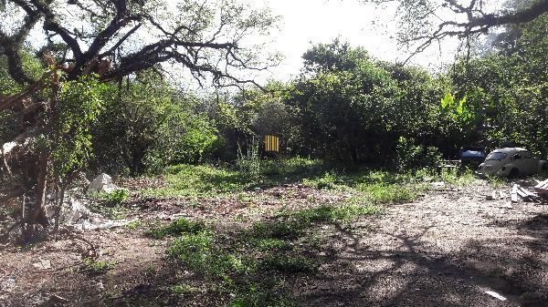Terreno para Venda - 0m², 0 dormitórios, Lageado