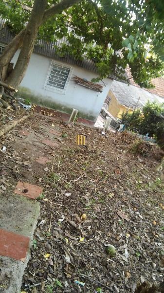 Terreno para Venda - 0m², 0 dormitórios, Tristeza