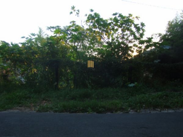 Terreno para Venda - 590m², 0 dormitórios, Tristeza